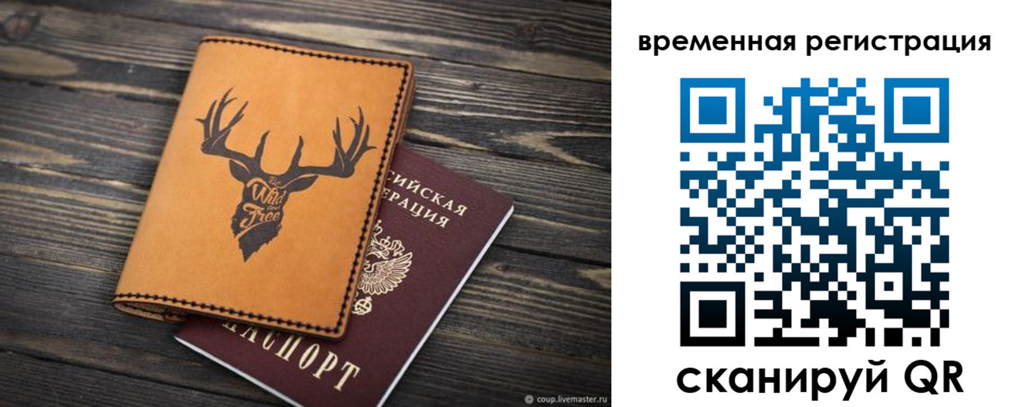 прописка в Александрове